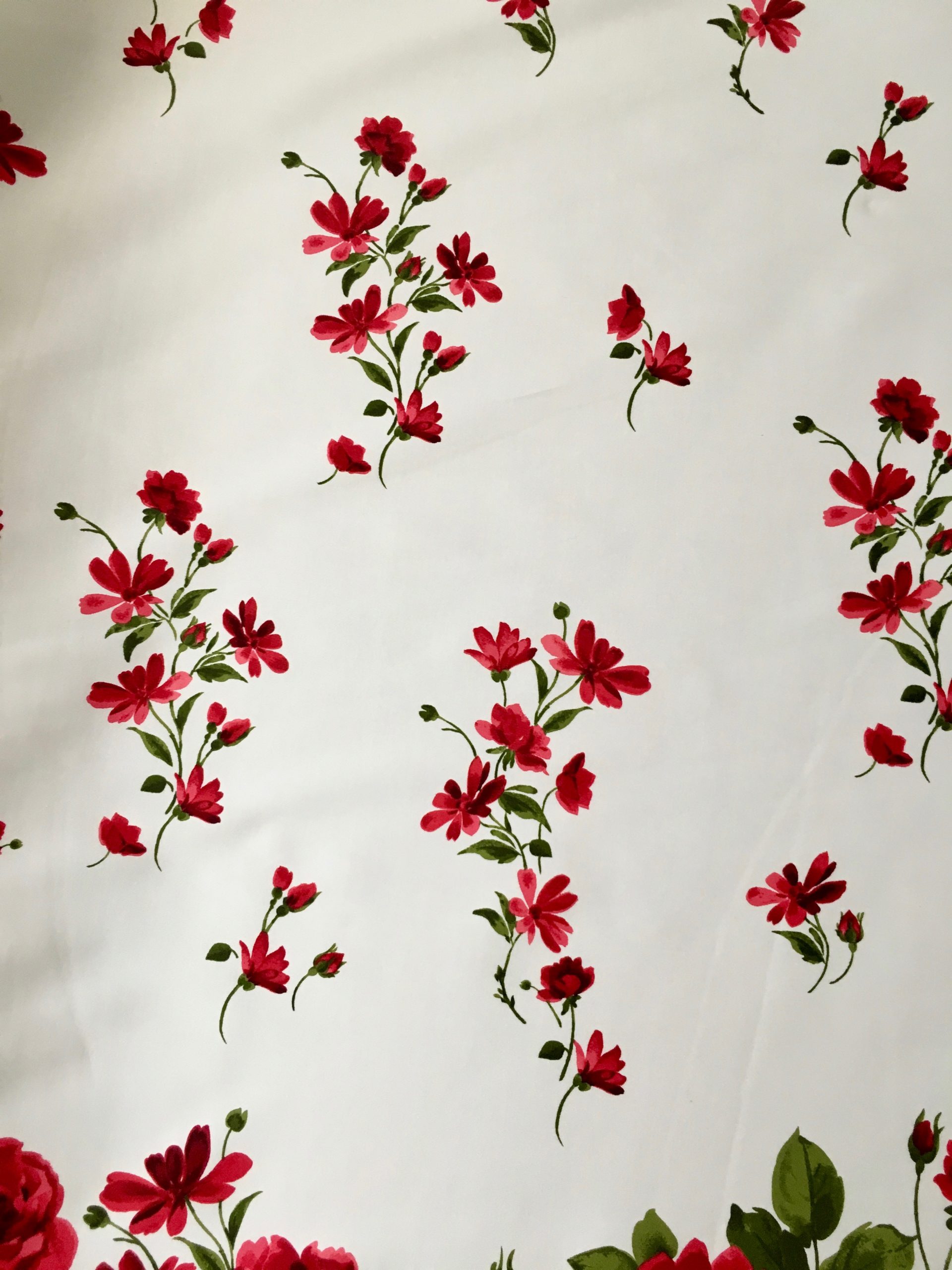 Embroidered Sheer Floral Flowers Hearts Border Off White Fabric by the Yard  (4105G-8J)