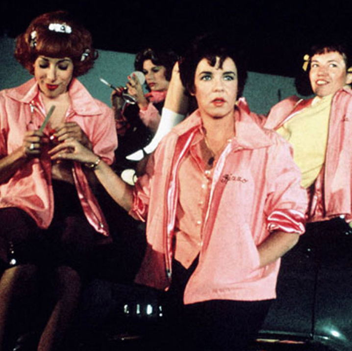 Pink Ladies costume from Grease