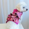 The Millie Dog Dress sewing pattern by Charm Patterns, worn by Millie.