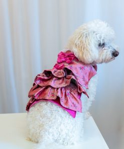 The Millie Dog Dress sewing pattern by Charm Patterns, worn by Millie.