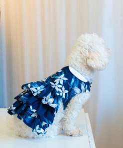 The Millie Dog Dress sewing pattern by Charm Patterns, worn by Millie.