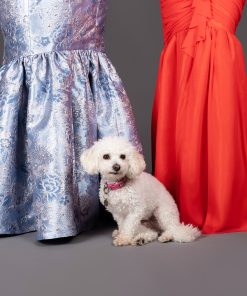 Millie with Gertie and Suzie.